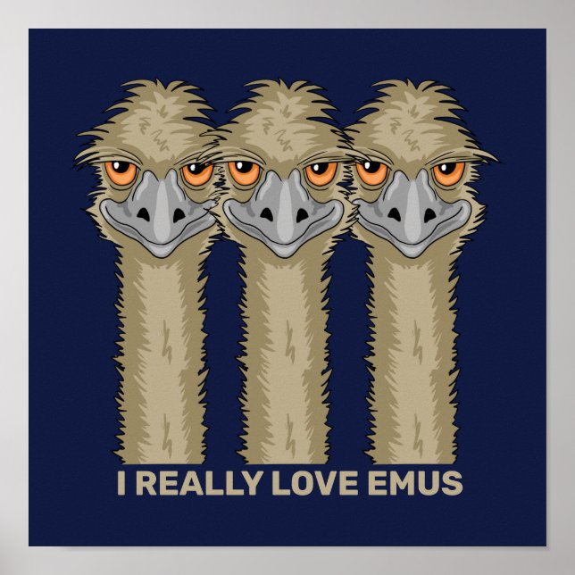 Ich liebe Emus wirklich Poster (Vorne)