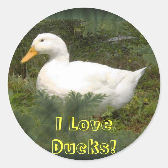 Ich Liebe Enten! Aufkleber (Vorderseite)