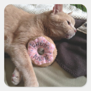 Ich Liebe Fatboy's Donuts! Quadratischer Aufkleber