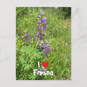 Ich liebe Fresno Postkarte