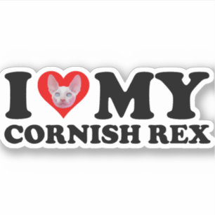 Ich liebe (Herz) meine Cornish Rex Aufkleber
