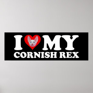 Ich liebe (Herz) meine Cornish Rex Poster