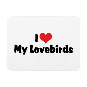 Ich Liebe Herz meine Lieblinge - Vogel Lover Magnet