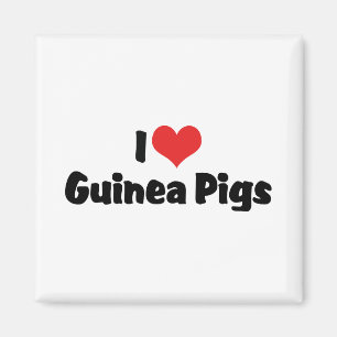 Ich liebe Herzmeerschweinchen Magnet