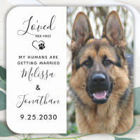 Ich liebe ihren ersten Hund, der Hochzeit mit dem