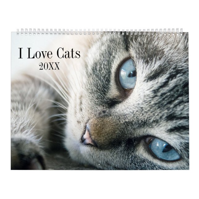 Ich liebe Katzen Kalender (Titelbild)