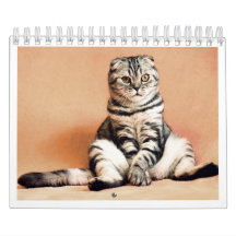 Ich liebe Katzen Kalender 2026