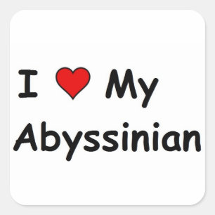 Ich Liebe mein Abessinier Quadratischer Aufkleber