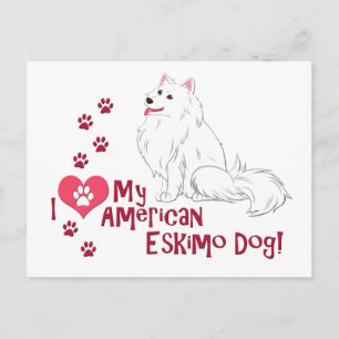 Ich Liebe mein amerikanischer Eskimo Hund! Postkarte