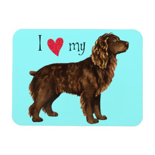 Ich Liebe mein Boykin Spaniel Magnet