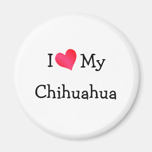 Ich Liebe mein Chihuahua Magnet