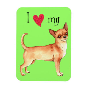 Ich Liebe mein Chihuahua Magnet