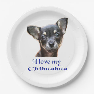 Ich Liebe mein Chihuahua Pappteller