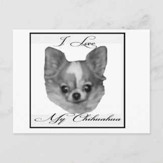 Ich Liebe mein Chihuahua Postkarte