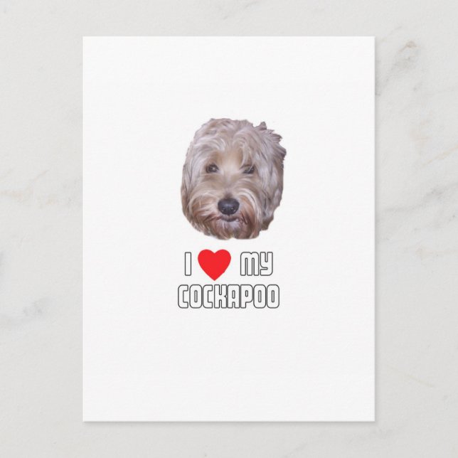 Ich Liebe mein Cockapoo Postkarte (Vorderseite)