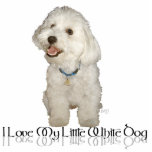 Ich Liebe mein kleiner weißer Hund - Havanese Freistehende Fotoskulptur<br><div class="desc">Jedes Design ist auf allen Zazzle-Produkten erhältlich. Blättern Sie auf der Seite dieses Produkts zu diesem Design übertragen und wählen Sie Ihr Lieblingsprodukt aus. Sie können Ihre Auswahl auch mit unserem Texteditor anpassen. Es gibt viele wunderbare Schriftart,  aus denen Sie wählen können. Vielen Dank!</div>