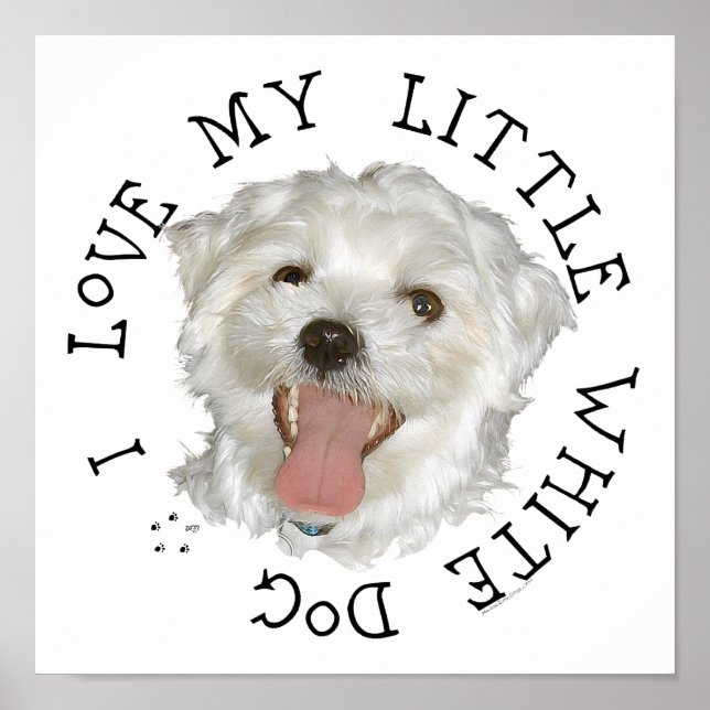 Ich Liebe mein kleiner weißer Hund maltesisch Poster (Vorne)