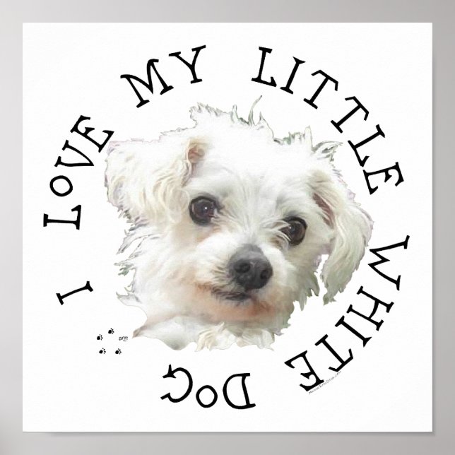 Ich Liebe mein kleiner weißer Hund - Maltesisch Poster (Vorne)