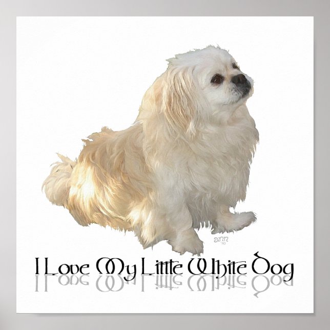 Ich Liebe mein kleiner weißer Hund - Pekingese ! Poster (Vorne)