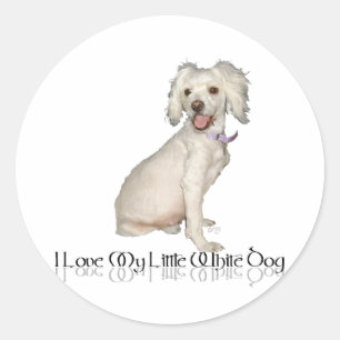 Ich Liebe mein kleiner weißer Hund - Poodle / Bich Runder Aufkleber