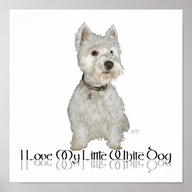 Ich Liebe mein kleiner weißer Hund - Westie Poster (Vorne)