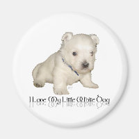 Ich Liebe mein kleiner weißer Hund - Westie Welpe
