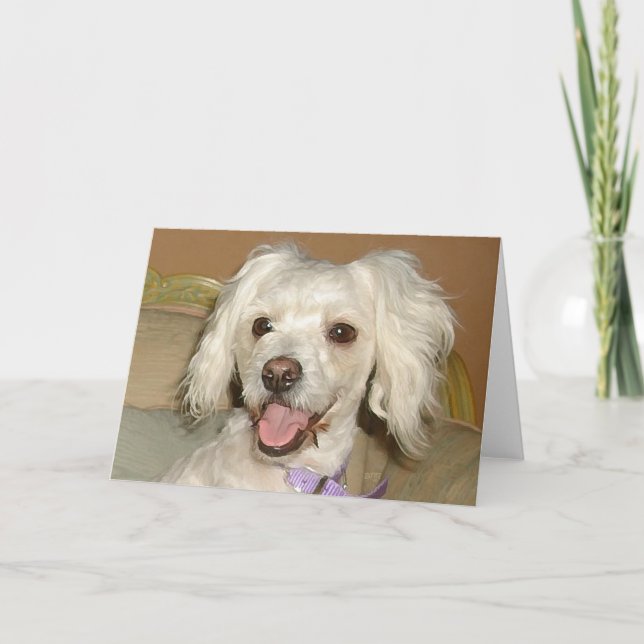 Ich Liebe mein kleines weißes Dog Poodle / Bichon  Karte (Vorderseite)
