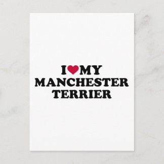 Ich Liebe mein Manchester Terrier Postkarte