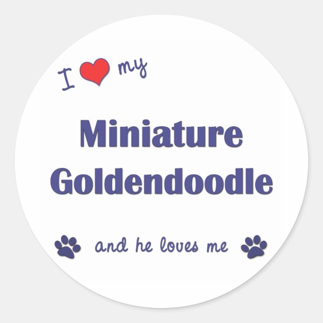 Ich Liebe mein Mini-Goldendoodle (Männerhund) Runder Aufkleber (Vorderseite)