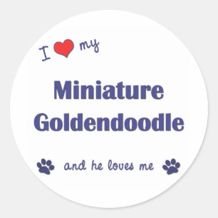 Ich Liebe mein Mini-Goldendoodle (Männerhund) Runder Aufkleber