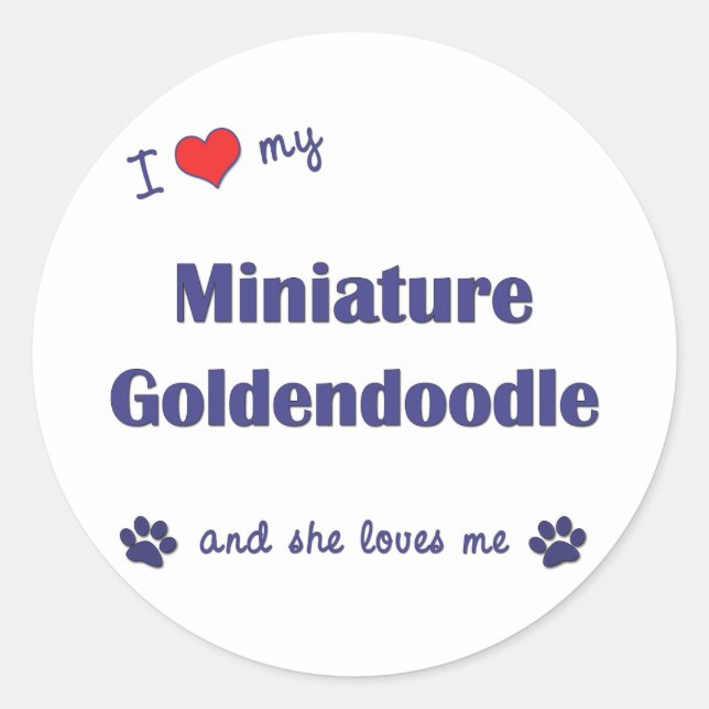 Ich Liebe mein Miniaturgoldendoodle (Weiblicher Hu Runder Aufkleber (Vorderseite)