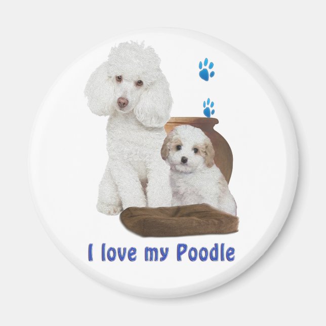 Ich Liebe mein Poodle Magnet (Vorne)