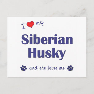 Ich Liebe mein sibirischer Husky (weiblicher Hund) Postkarte