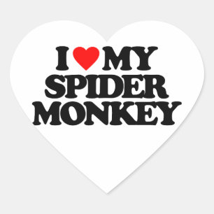 ICH LIEBE MEIN SPIDER-GELD Herz-Aufkleber