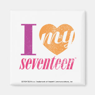 Ich Liebe meine 17 Orange Magnet