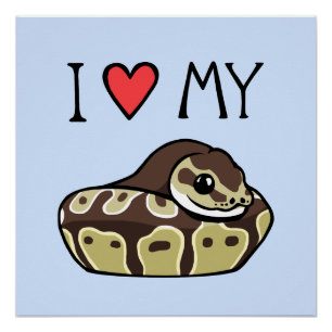 "Ich Liebe meine Ball-Pythonschlange-" niedliche Poster