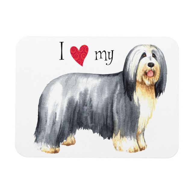 Ich Liebe meine bärtige Collie Magnet (Horizontal)