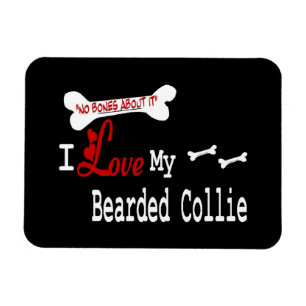 Ich Liebe meine bärtige Collie Magnet