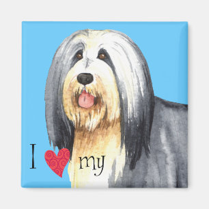 Ich Liebe meine bärtige Collie Magnet