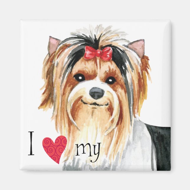 Ich Liebe meine Biewer Terrier Magnet (Vorne)