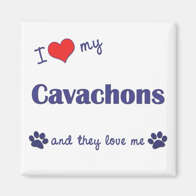 Ich Liebe meine Cavachons (mehrere Hunde) Magnet (Vorne)