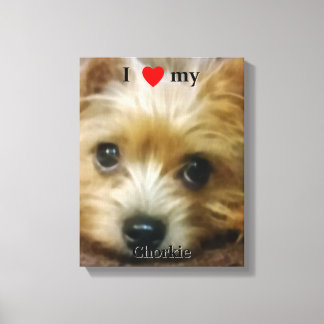 Ich Liebe meine Chorkie Leinwanddruck