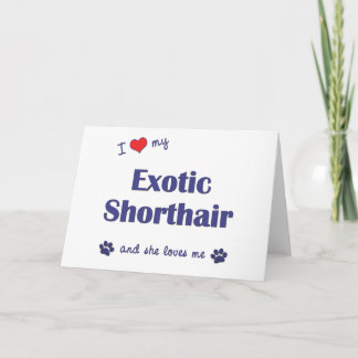 Ich Liebe meine exotische Kurzhaar (weibliche Katz Karte