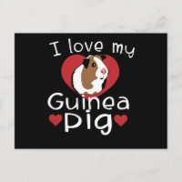 Ich Liebe meine Guinea Schweinefleisch Niedliche G