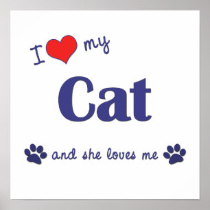 Ich Liebe meine Katze (weibliche Katze) Poster