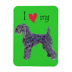 Ich Liebe meine Kerry Blue Terrier Magnet