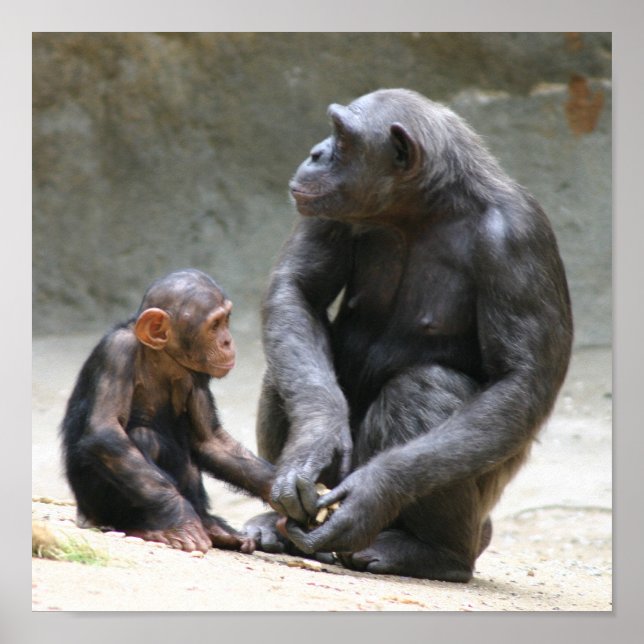 Ich Liebe meine Mama Poster (Vorne)