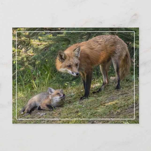 Ich Liebe meine Mama Postkarte (Vorderseite)