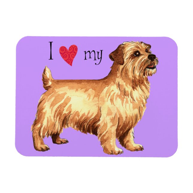 Ich Liebe meine Norfolk Terrier Magnet (Horizontal)