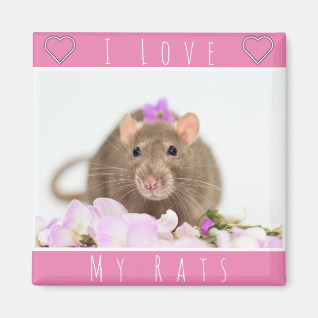 Ich Liebe meine Raten Magnet (Vorne)